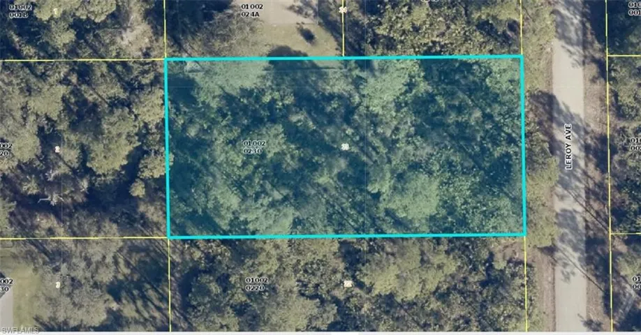 Map View