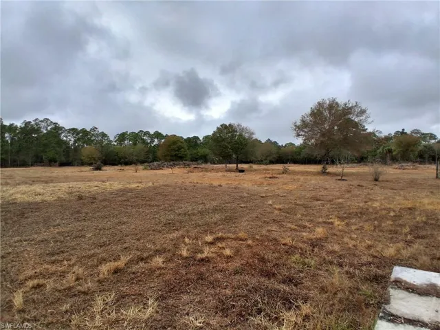 View of yard with a view of rural / pastoral area