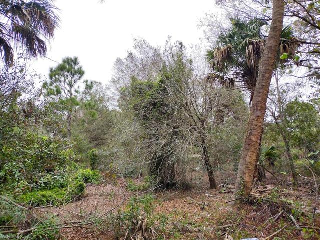 Trees for privacy