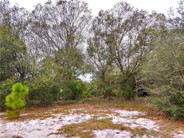 Nice Oaks at property entrance
