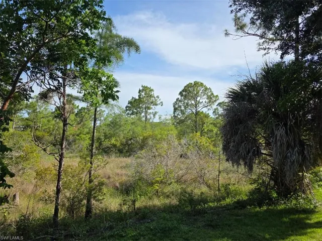 PRESERVE BEHIND REAR FENCE