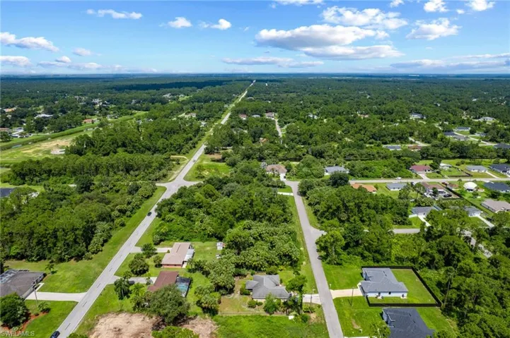 Drone / aerial view of a forest