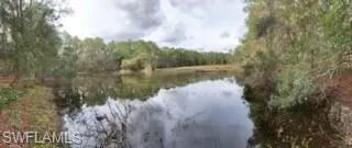 Property view of water featuring a forest view