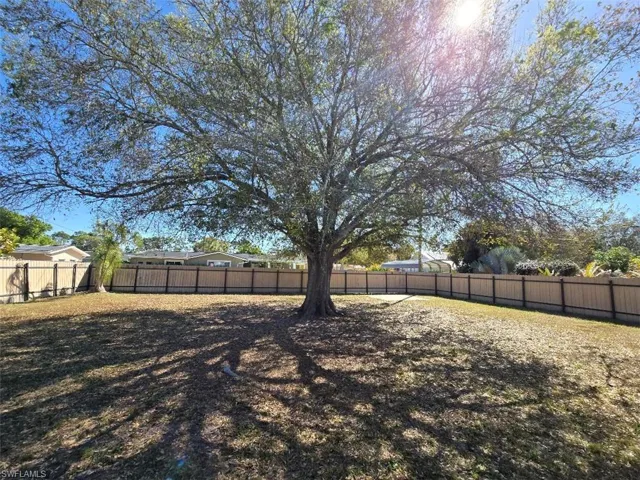 Fenced Backyard w/Large Tree