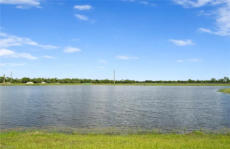 7339 Blue Salvia Dr, North Fort Myers, Florida 33917
