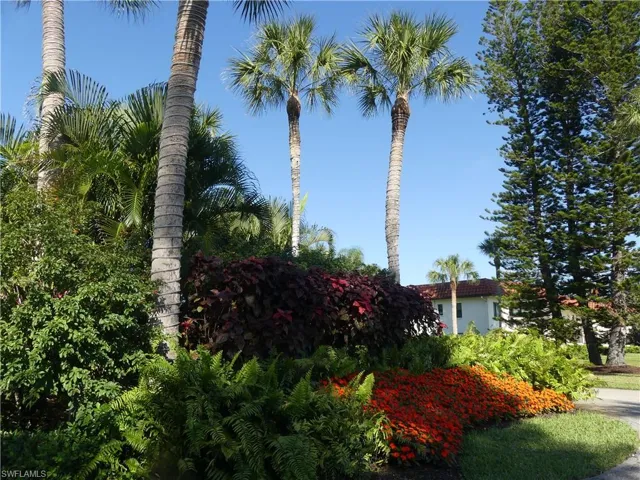 FLORIDA VEGETATION THROUGHOUT COMMUNITY