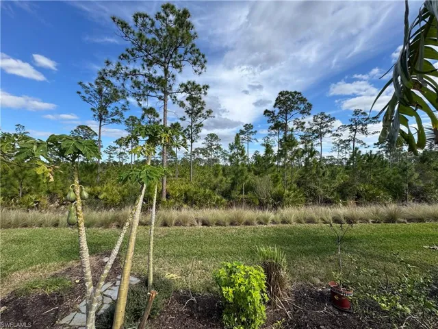 View of preserve area behind home.