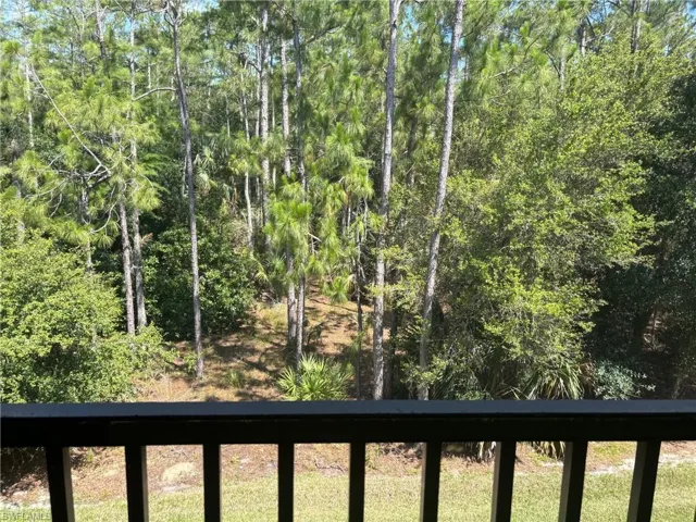 Peaceful Preserve view