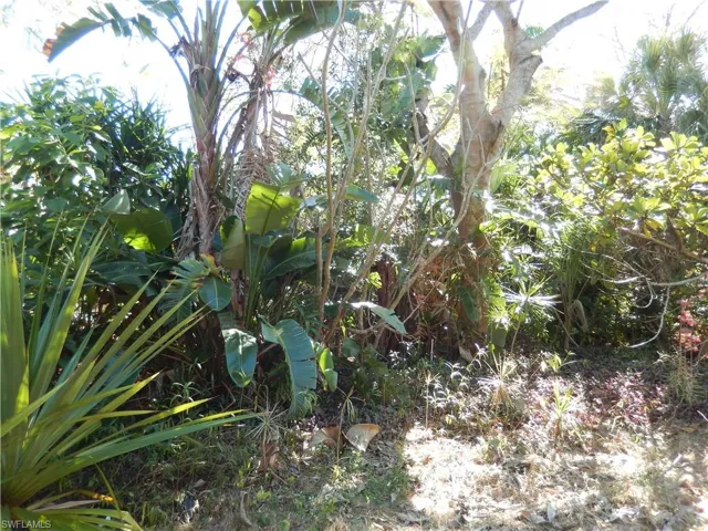 222 Se 46th Ter, Cape Coral, Florida 33904