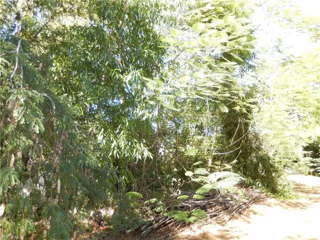 222 Se 46th Ter, Cape Coral, Florida 33904
