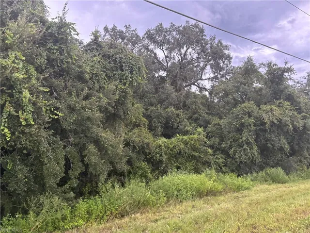 View of nature