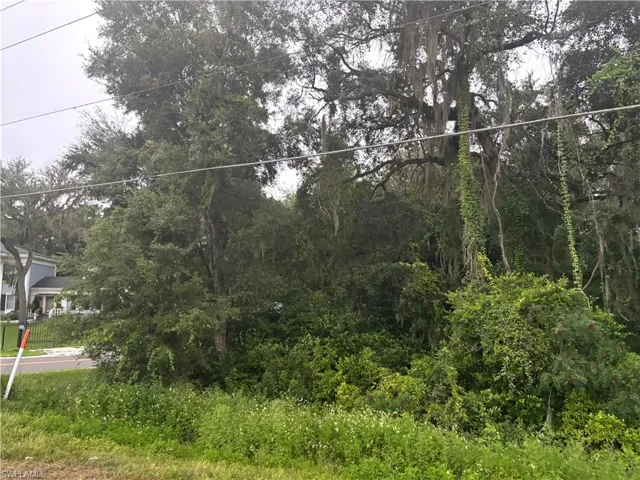 0 Cortez, Ridge Manor Fl 33523