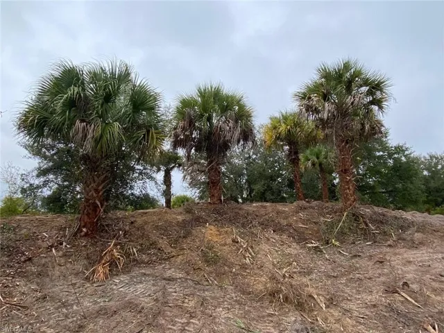 View of nature