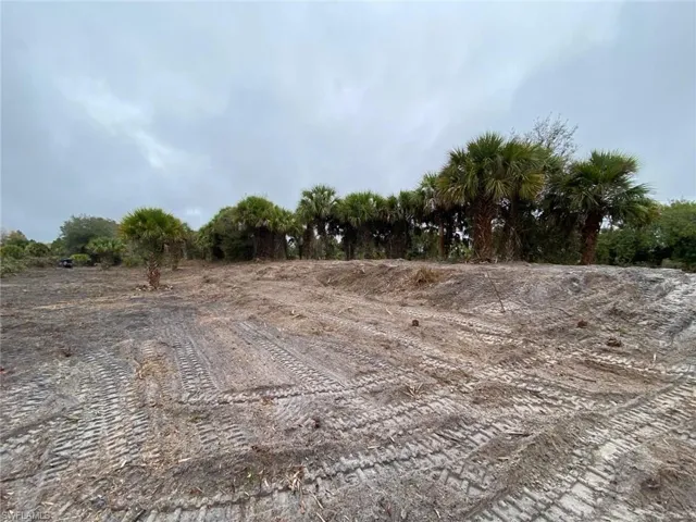 View of undeveloped land