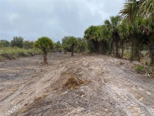 View of undeveloped land