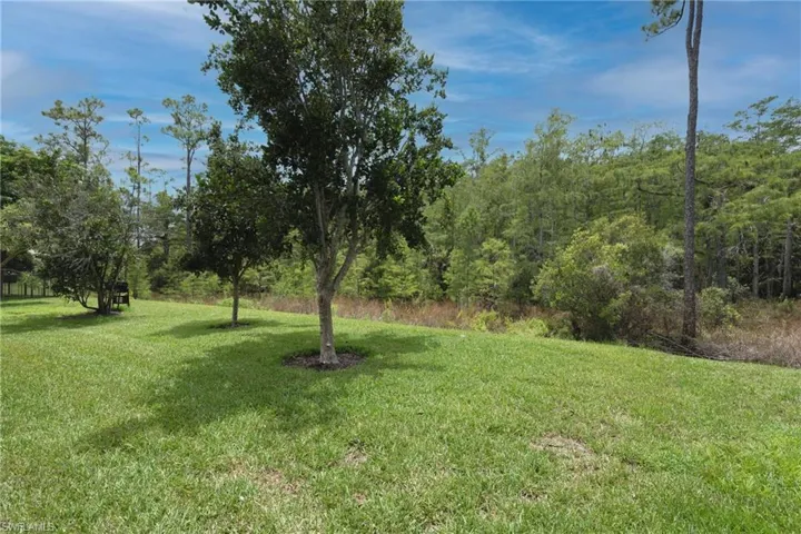 Expansive grassy area with mature trees and natural tree line at the perimeter