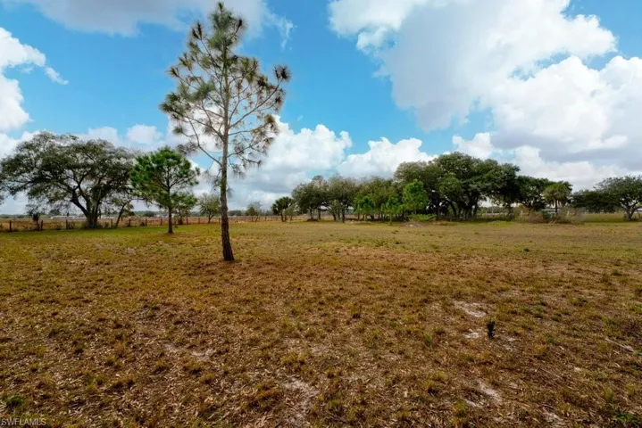View of local wilderness with a rural view