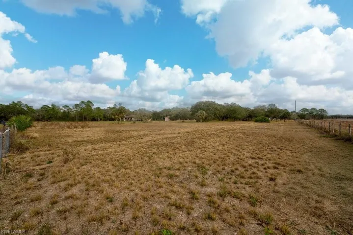 View of local wilderness with a rural view