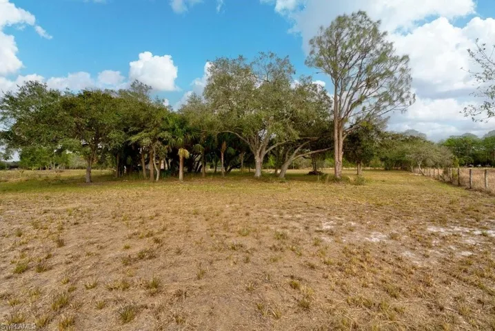 View of local wilderness featuring a rural view