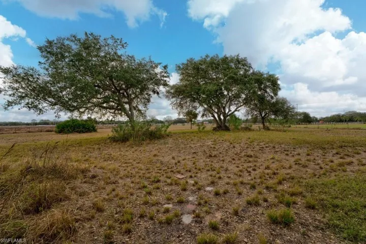View of local wilderness featuring a rural view