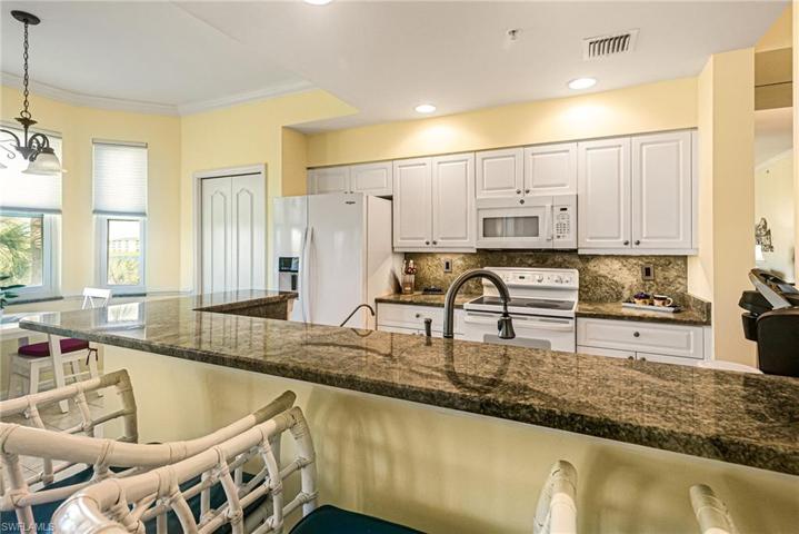 10450  Washingtonia Palm  WAY, Fort Myers, FL 33966