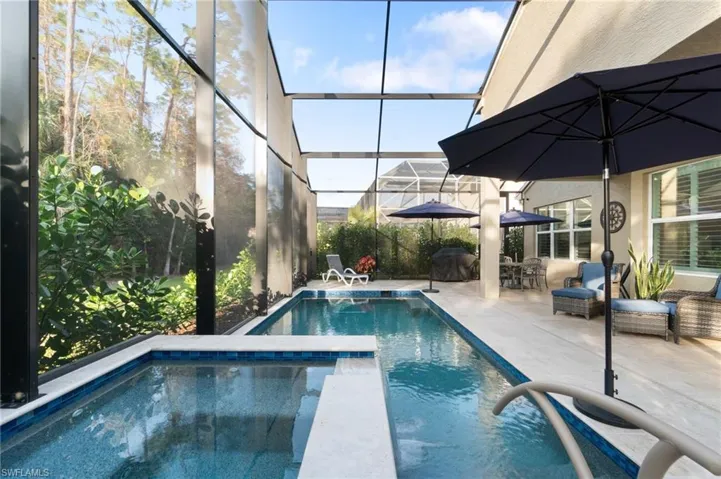 Great view of the spa and pool. Lots of room for seating, umbrellas, patio set, grill, plants and sunning.