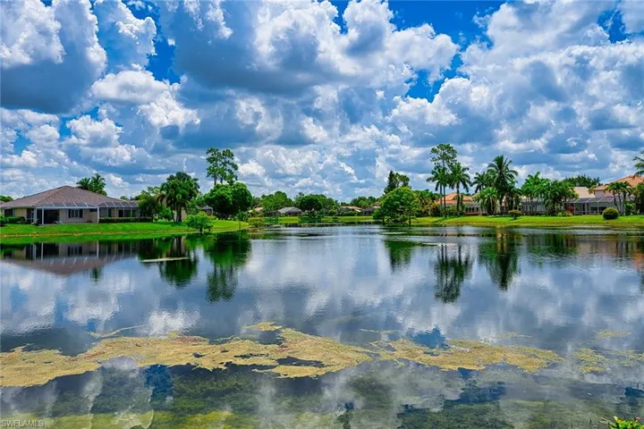 Water view