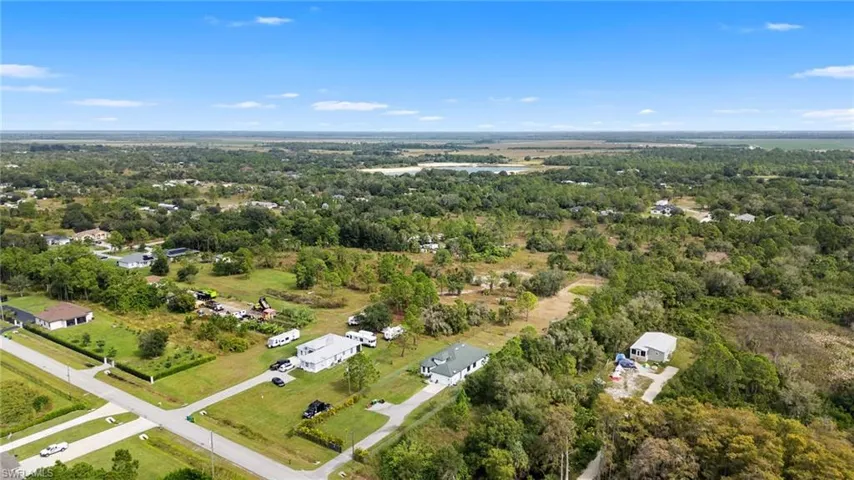 Aerial view of a forest