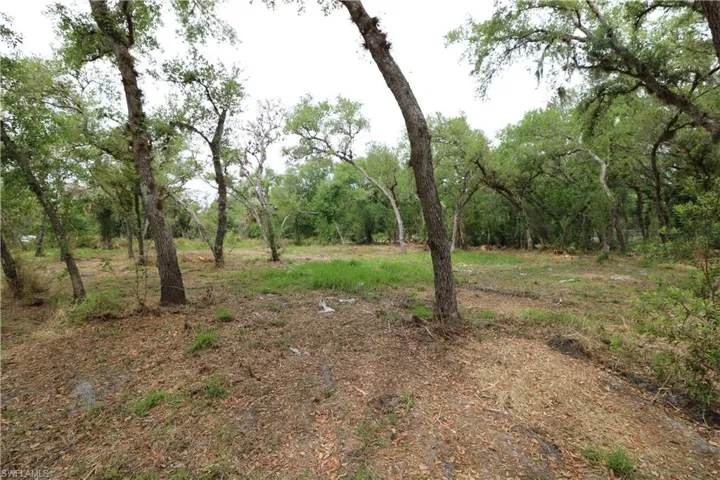 View of nature