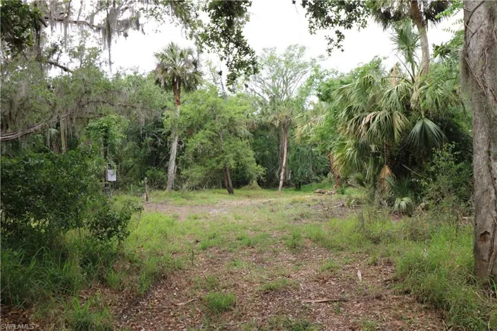 View of nature