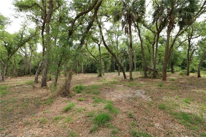 Front half of property nearest road