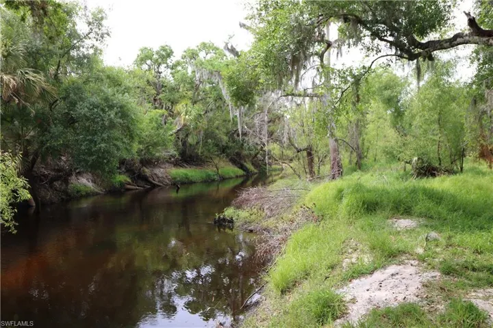 Property view of water with a view of trees