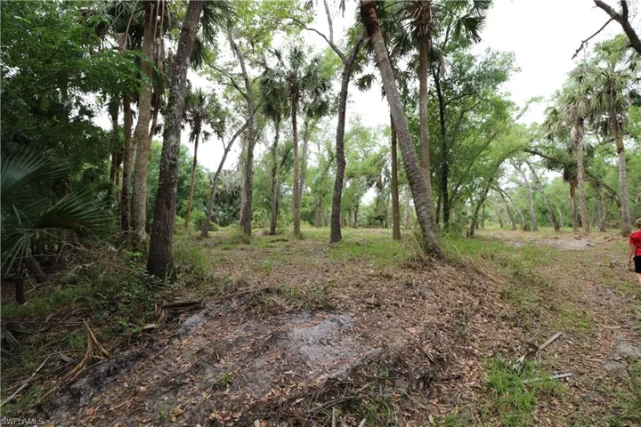 View of nature