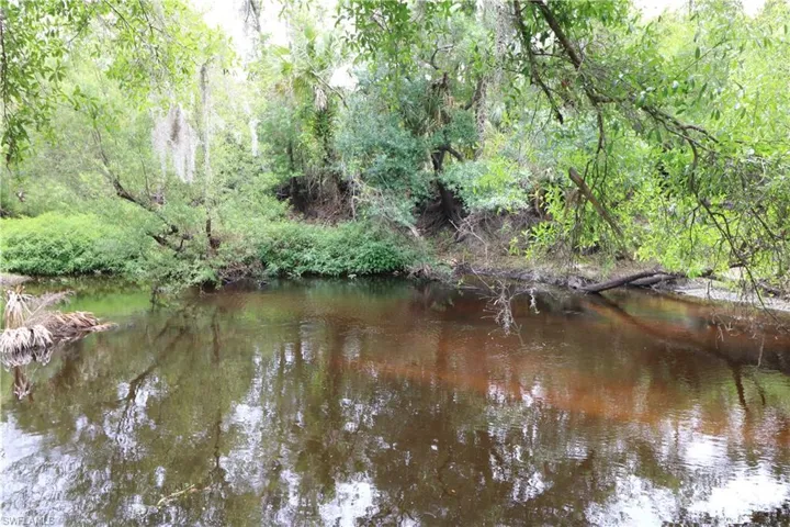 View of water feature with a view of trees