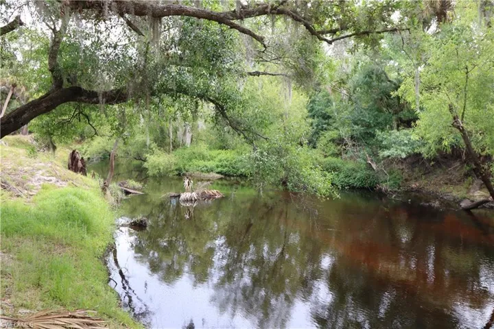 View of water feature with a view of trees