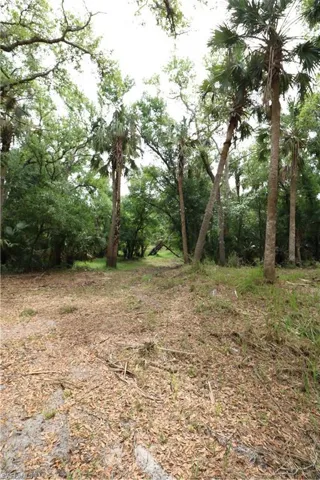 Looking back towards Horse Creek