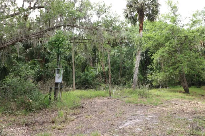 View of local wilderness featuring a forest view