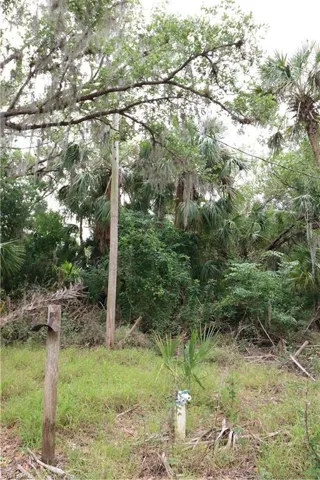 Well head and power pole