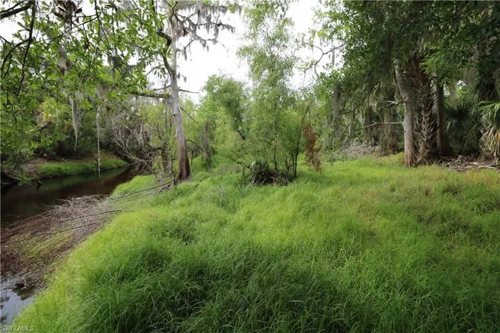View of nature with a forest view