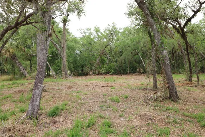 View of local wilderness featuring a wooded view