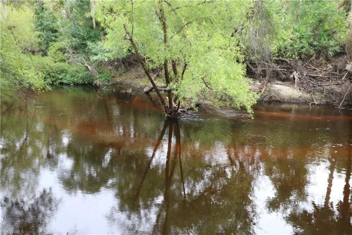 Horse Creek at rear of property