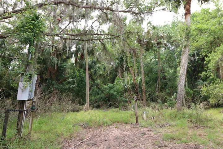 View of nature