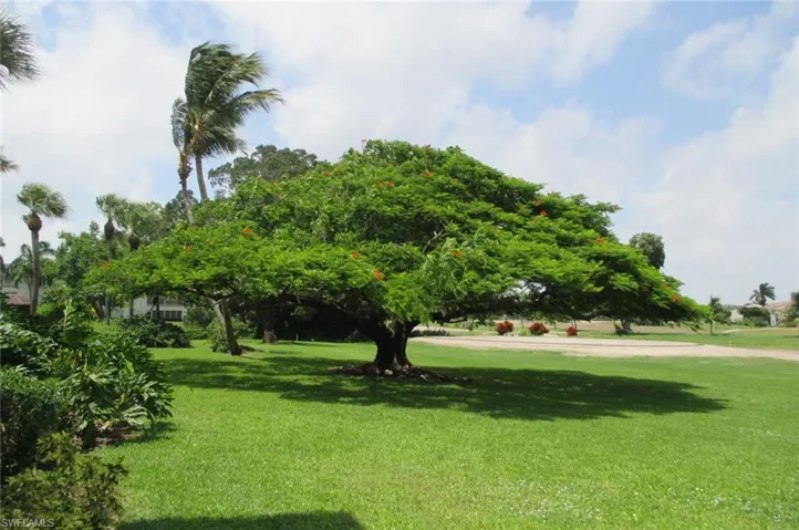 315  Saint Andrews  BLVD, Naples, FL 34113