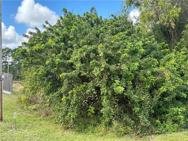 716 Castlestone AVE S, LEHIGH ACRES FL 33974