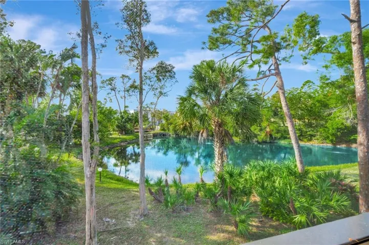 Water view