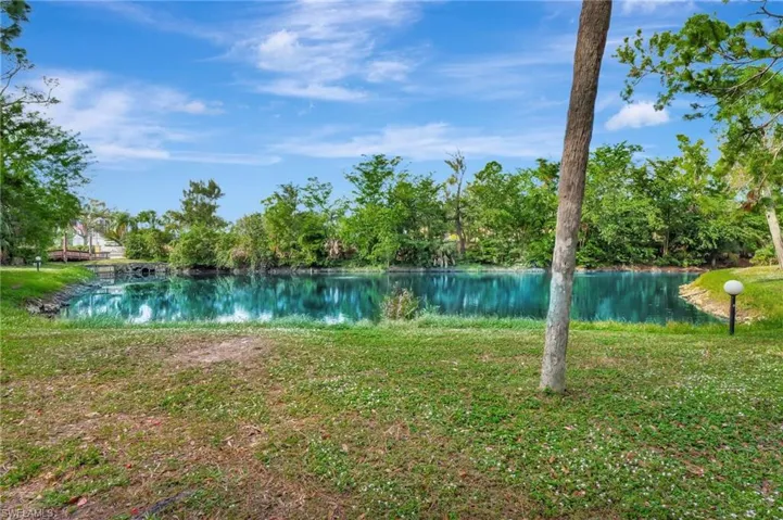 Water view