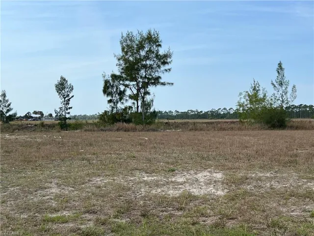 2824 NW 9th AVE, CAPE CORAL FL 33993