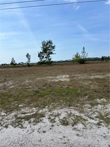 2824 NW 9th AVE, CAPE CORAL FL 33993