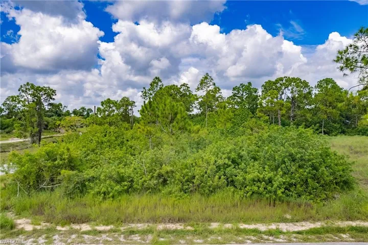 View of nature