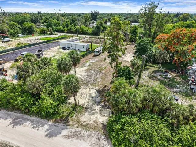 Expansive land parcel featuring mature palm trees and lush tropical foliage
